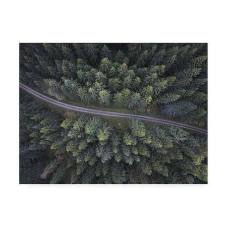 Christian Lindsten 'Small Road Through The Forest' Canvas Art,18x24